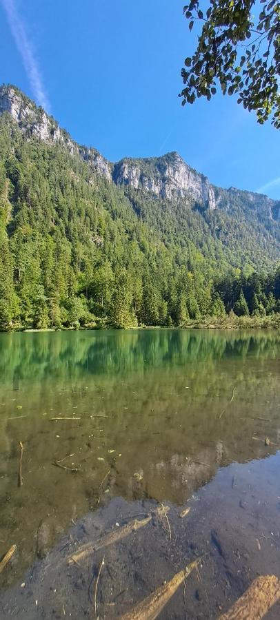 Laerche 2 - Chiemgaukarte Inklusive- Lägenhet Inzell Exteriör bild