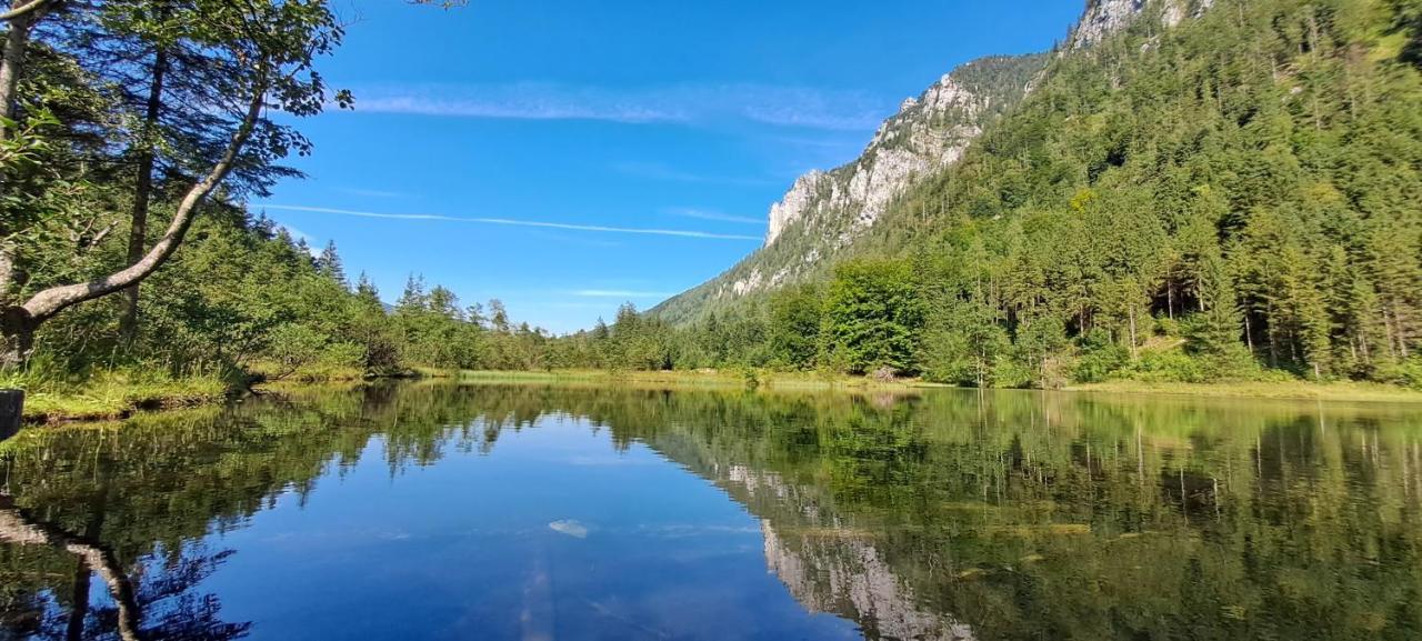 Laerche 2 - Chiemgaukarte Inklusive- Lägenhet Inzell Exteriör bild