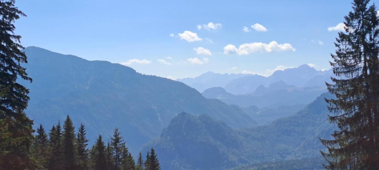 Laerche 2 - Chiemgaukarte Inklusive- Lägenhet Inzell Exteriör bild