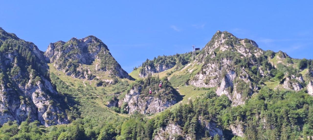 Laerche 2 - Chiemgaukarte Inklusive- Lägenhet Inzell Exteriör bild